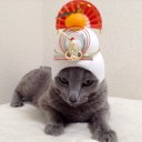 ※画像２はイメージです　『理想と現実の狭間で謹賀新年先取り』編