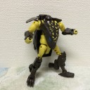 猿は…いないかなぁ？