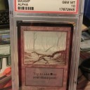 Alpha 沼 PSA10(GEM MINT)