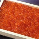 海水温1℃高い為に、魚の生育が変わり正月の食卓にも影響がある！