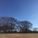 2015年12月29日の日記