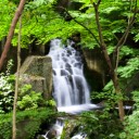 免疫力パーアップするには・・・