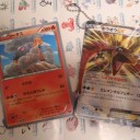 暖かいお正月でした