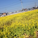 お正月の思い出
