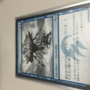 TMCレポと情報提供のお願い。