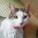 さとおやみつかる・・・