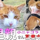 さとおやみつかる・・・