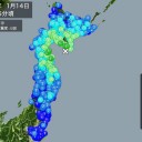 （仮）
