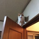 生きて戦う-Stay alive-