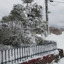 大雪の朝