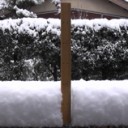 １月としては５年ぶりの大雪！