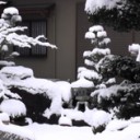 １月としては５年ぶりの大雪！