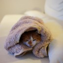 今日の水曜日モダンは・・・。
