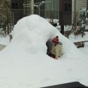 雪
