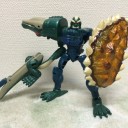 ワニガメ…とは違う