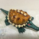 ワニガメ…とは違う