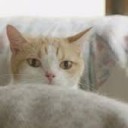 「手冷たーい」「足パンパン」