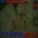 レタスを長持ちさせるには・・・