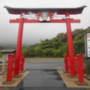 伏見稲荷よりも今は・・・　こちらの神社が人気～！！