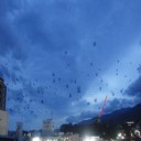 小田原駅周辺カラスの大群には対策が難航！！