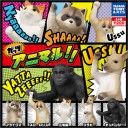 タカラトミーに潜むホモの策略にホイホイ引っ掛かるファッションホモの鑑