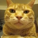 ちゃねこ・・・