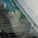 シュン3日目