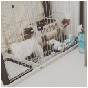 シュン4日目