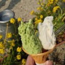 ジェラート