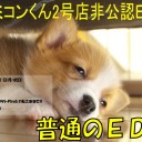 ＜告知＞ファミコンくん2号店普通のEDHイベント＜大会＞
