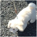 シュン 8日目