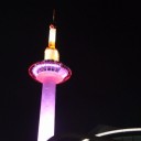 京都ツーデーウォーク