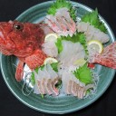 【緩募】第3回「オンラインの釣りばっかりじゃなくてリアルで釣りしようよ！ってことで船の午後カサゴ釣りに行きませんか？」