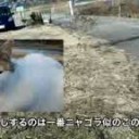 ほんとうに・・・・
