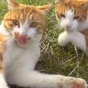 ほんとうに・・・・