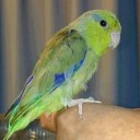 別れと出会い