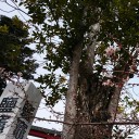 塩竈散歩 2016