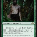 【SOI】新ソリンと茸栽培と新シガルダと