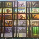 PPTQ（in メディアクラブNISHIKI宮崎店）に参加しましたよ