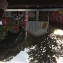 遊び納め的な