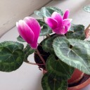 広がる想像