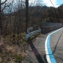 ゆラリーサイクリングその２　ある日～、森の中～