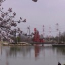 落合公園の桜２０１６