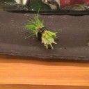 昼と夜