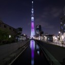 妹と花見いってきました＾＾