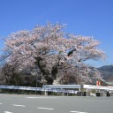 諸々の話(4/3)