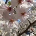 贅沢な一日