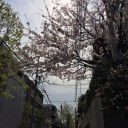 仕事をさぼって松濤散歩
