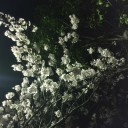 週末の予定