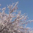 今年に入って初めて、土曜日に休出してない日ですかね？
